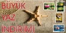 Bambi ayakkabıda indirim haberi