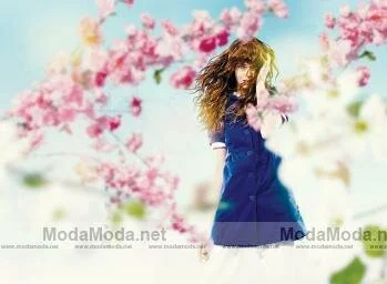 Fizz katalog görüntüleri